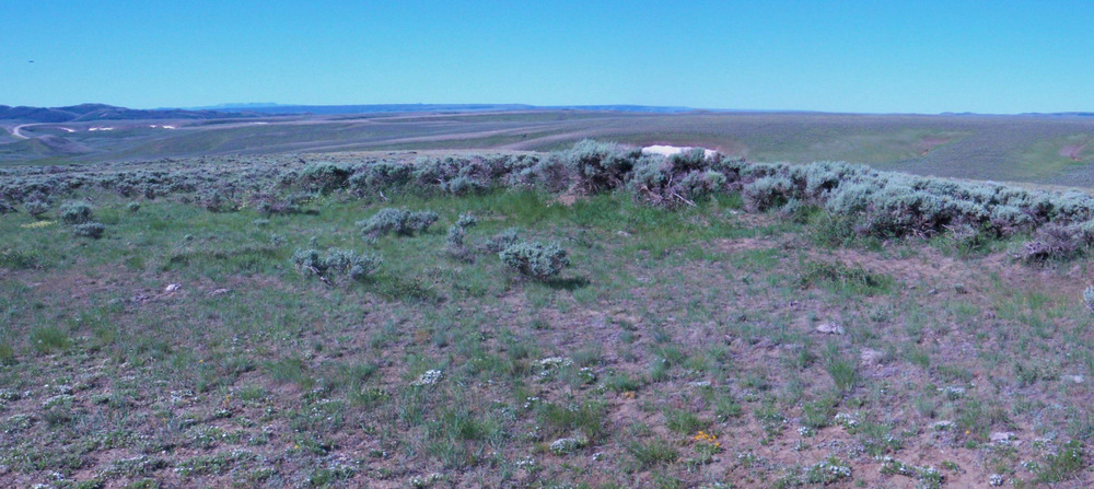 The view south from near Middlewood Pass, Wyoming, on the GDMBR.